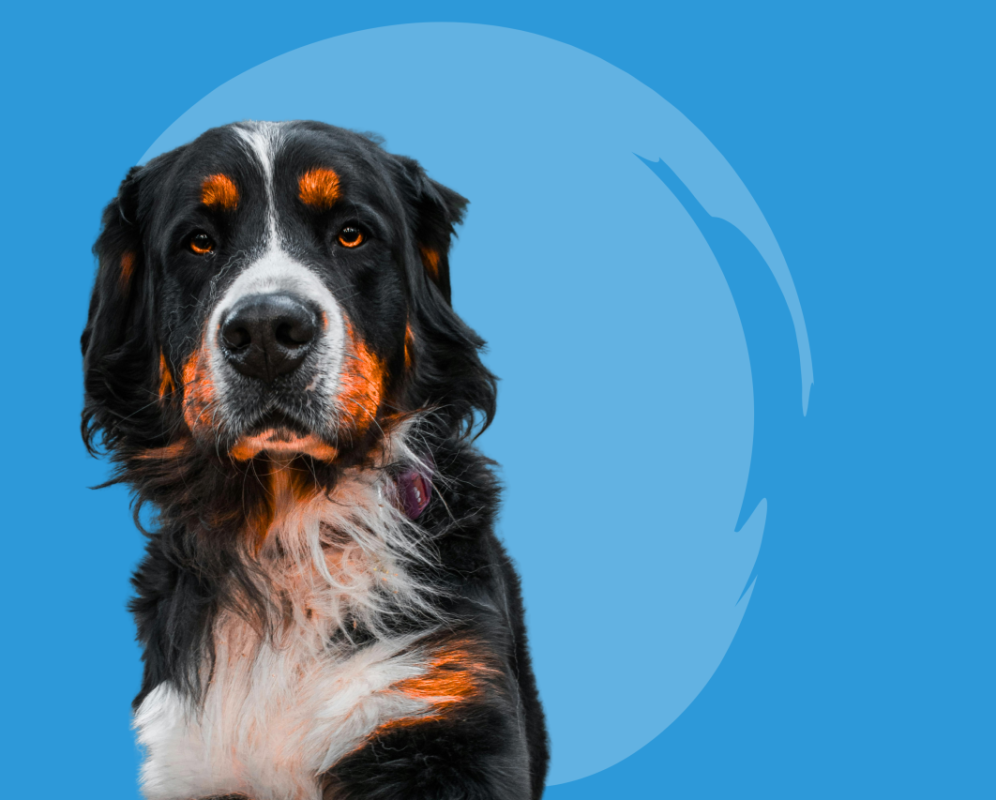 Rishit-home-banner-1